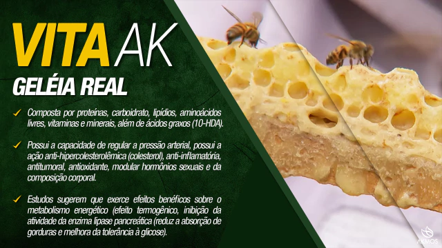 Suplemento VitaAk com Aloe Vera - Akmos